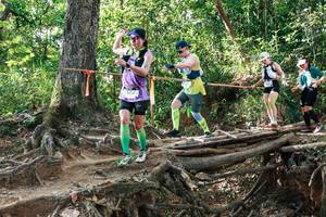 BIB: 
                            <button type="button" onclick="openModal(27558274)" class="btn btn-primary btn-sm float-right btn-popup" data-toggle="modal" data-target=".modal-high-quality">
                        <i class="fas fa-shopping-cart"></i> Add to Cart
                    </button>
                                            <button type="button" onclick="isThisMe(27558274, true)" class="btn btn-success btn-sm float-right btn-popup btn-isme hidden" data-toggle="tooltip" data-placement="bottom" title="นี่คือรูปของคุณใช่ไหม คลิกที่นี่เพื่อเอาเข้าอัลบั้ม">
                        <i class="fas fa-plus"></i> Add to album
                    </button>
                    <button type="button" onclick="isThisMe(27558274, false)" class="btn btn-warning btn-sm float-right btn-popup btn-isnotme hidden">
                        <i class="fas fa-ban"></i> Remove from album
                    </button>